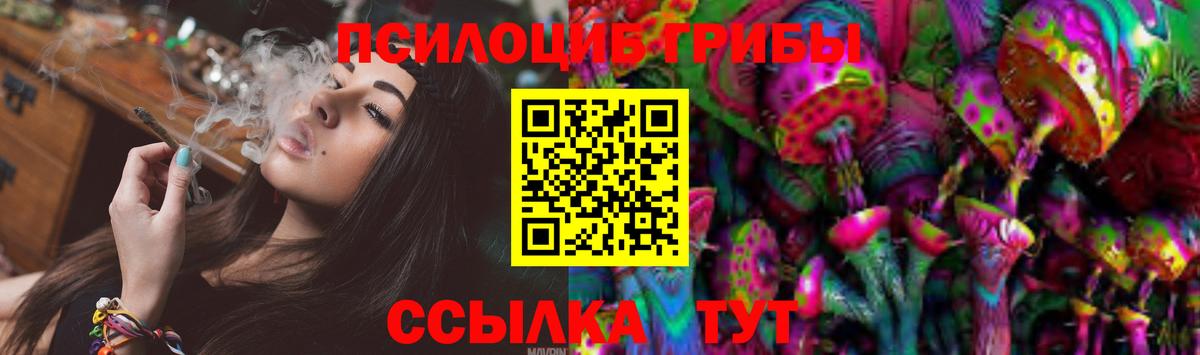 купить наркотики цена  Псилоцибиновые грибы Psilocybine cubensis  Вход с VPN  Великий Устюг 